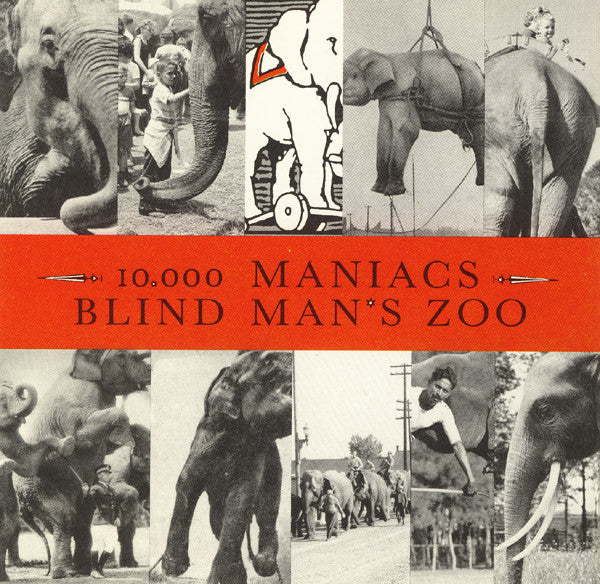 10,000 Maniacs – Blind Man's Zoo Used CD Stores Folk Rock 1989 US (CD, Album)