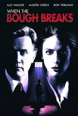 When the Bough Breaks (DVD, 2004)