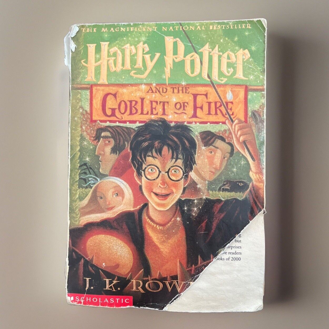 Harry Potter and the Goblet of Fire by J. K. Rowling