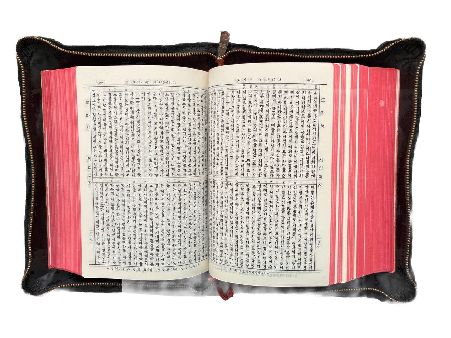 KOREAN HOLY BIBLE Hymnal Gospel Song Zipper Case